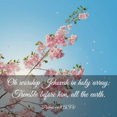 Picture 03 - Psalms 96:9 ASV - Oh worship Jehovah in holy array: Tremble before - Bible Verse Picture