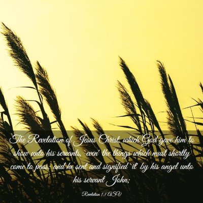 Picture 03 - Revelation 1:1 ASV - The Revelation of Jesus Christ, which God gave - Bible Verse Picture