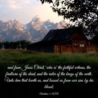 Picture 03 - Revelation 1:5 ASV - and from Jesus Christ, `who is' the faithful - Bible Verse Picture