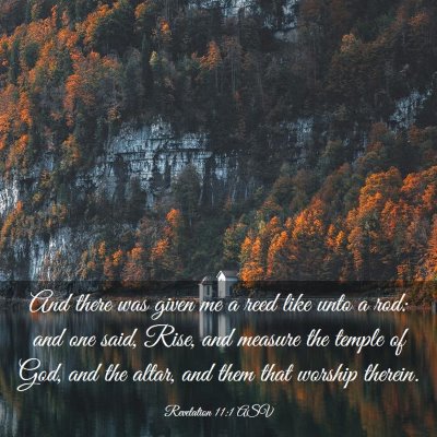 Picture 03 - Revelation 11:1 ASV - And there was given me a reed like unto a rod: - Bible Verse Picture