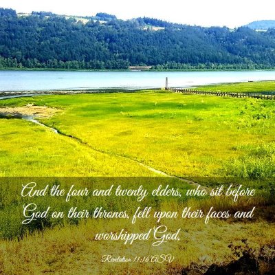 Picture 03 - Revelation 11:16 ASV - And the four and twenty elders, who sit before - Bible Verse Picture