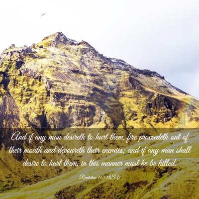 Picture 03 - Revelation 11:5 ASV - And if any man desireth to hurt them, fire - Bible Verse Picture