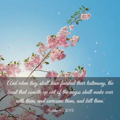 Picture 03 - Revelation 11:7 ASV - And when they shall have finished their - Bible Verse Picture
