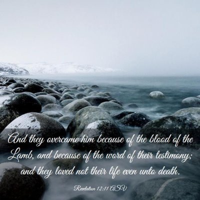 Picture 03 - Revelation 12:11 ASV - And they overcame him because of the blood of the - Bible Verse Picture