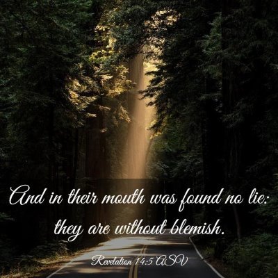 Picture 03 - Revelation 14:5 ASV - And in their mouth was found no lie: they are - Bible Verse Picture
