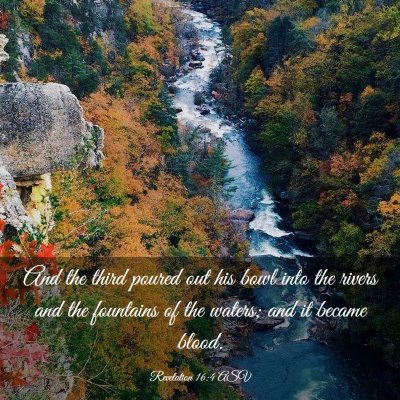 Picture 03 - Revelation 16:4 ASV - And the third poured out his bowl into the rivers - Bible Verse Picture