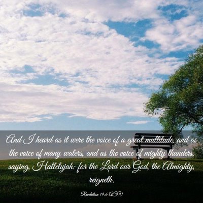 Picture 03 - Revelation 19:6 ASV - And I heard as it were the voice of a great - Bible Verse Picture