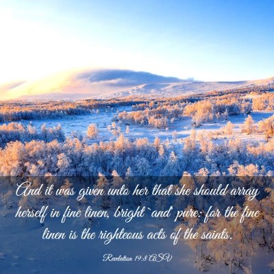Picture 03 - Revelation 19:8 ASV - And it was given unto her that she should array - Bible Verse Picture