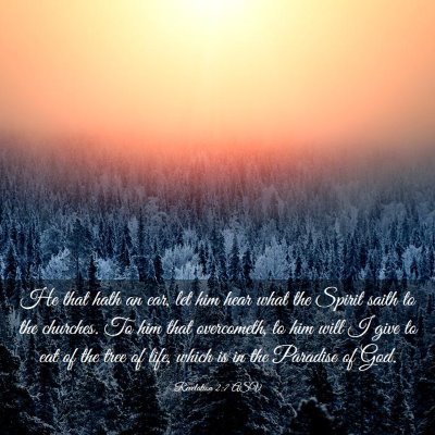 Picture 03 - Revelation 2:7 ASV - He that hath an ear, let him hear what the Spirit - Bible Verse Picture