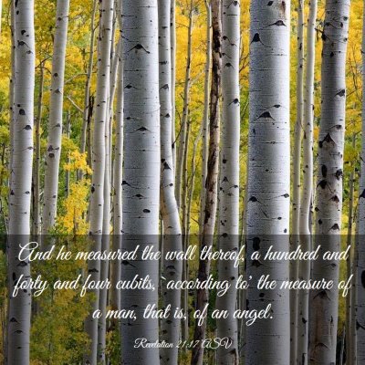 Picture 03 - Revelation 21:17 ASV - And he measured the wall thereof, a hundred and - Bible Verse Picture