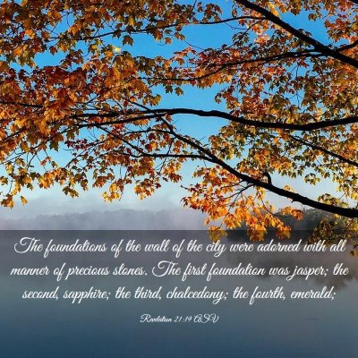 Picture 03 - Revelation 21:19 ASV - The foundations of the wall of the city were - Bible Verse Picture