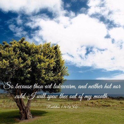 Picture 03 - Revelation 3:16 ASV - So because thou art lukewarm, and neither hot nor - Bible Verse Picture