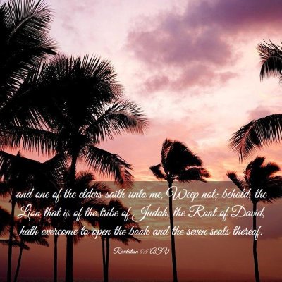 Picture 03 - Revelation 5:5 ASV - and one of the elders saith unto me, Weep not; - Bible Verse Picture