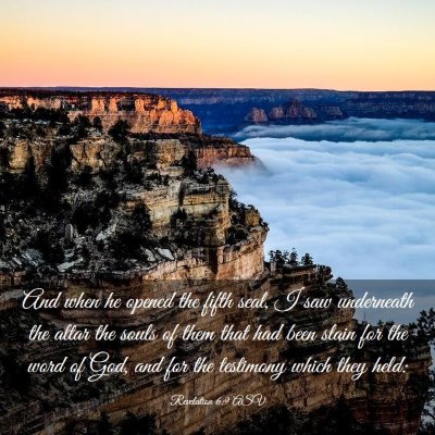 Picture 03 - Revelation 6:9 ASV - And when he opened the fifth seal, I saw - Bible Verse Picture