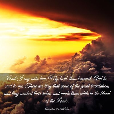 Picture 03 - Revelation 7:14 ASV - And I say unto him, My lord, thou knowest. And he - Bible Verse Picture
