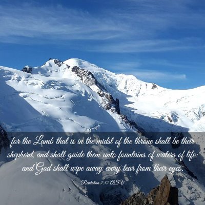 Picture 03 - Revelation 7:17 ASV - for the Lamb that is in the midst of the throne - Bible Verse Picture
