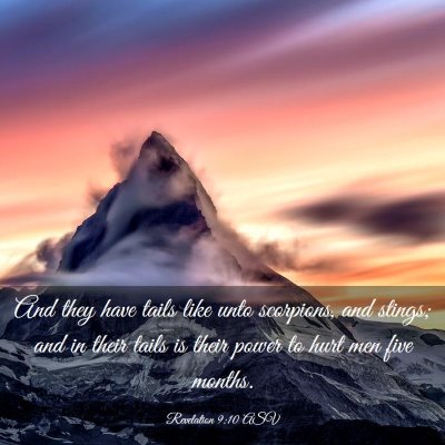 Picture 03 - Revelation 9:10 ASV - And they have tails like unto scorpions, and - Bible Verse Picture