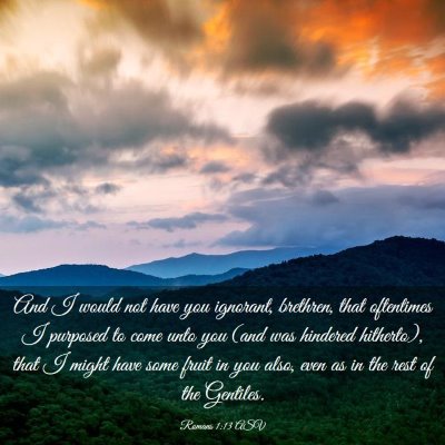 Picture 03 - Romans 1:13 ASV - And I would not have you ignorant, brethren, that - Bible Verse Picture