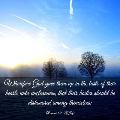 Picture 03 - Romans 1:24 ASV - Wherefore God gave them up in the lusts of their - Bible Verse Picture