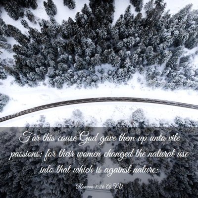 Picture 03 - Romans 1:26 ASV - For this cause God gave them up unto vile - Bible Verse Picture