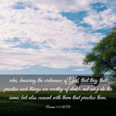 Picture 03 - Romans 1:32 ASV - who, knowing the ordinance of God, that they that - Bible Verse Picture