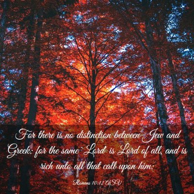 Picture 03 - Romans 10:12 ASV - For there is no distinction between Jew and - Bible Verse Picture