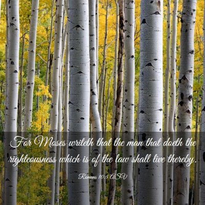 Picture 03 - Romans 10:5 ASV - For Moses writeth that the man that doeth the - Bible Verse Picture