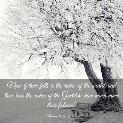 Picture 03 - Romans 11:12 ASV - Now if their fall, is the riches of the world, - Bible Verse Picture