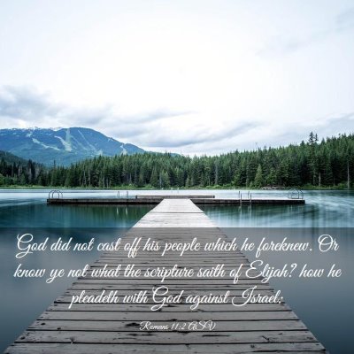 Picture 03 - Romans 11:2 ASV - God did not cast off his people which he - Bible Verse Picture