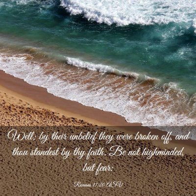 Picture 03 - Romans 11:20 ASV - Well; by their unbelief they were broken off, and - Bible Verse Picture