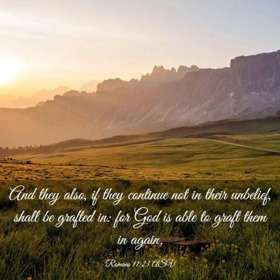 Picture 03 - Romans 11:23 ASV - And they also, if they continue not in their - Bible Verse Picture