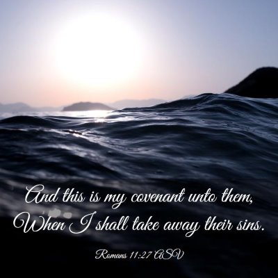 Picture 03 - Romans 11:27 ASV - And this is my covenant unto them, When I shall - Bible Verse Picture