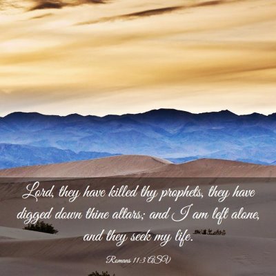 Picture 03 - Romans 11:3 ASV - Lord, they have killed thy prophets, they have - Bible Verse Picture