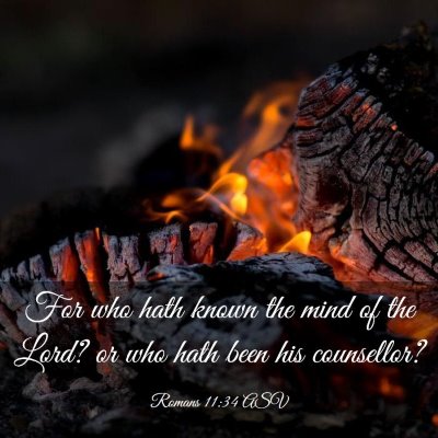 Picture 03 - Romans 11:34 ASV - For who hath known the mind of the Lord? or who - Bible Verse Picture