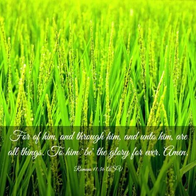 Picture 03 - Romans 11:36 ASV - For of him, and through him, and unto him, are - Bible Verse Picture