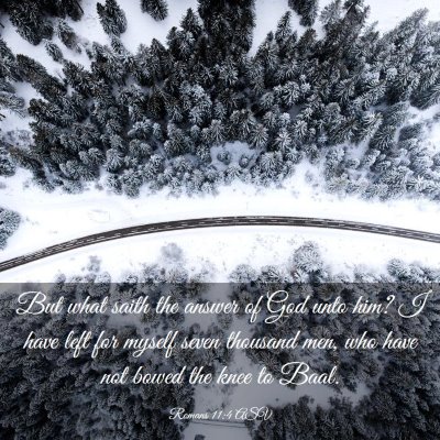 Picture 03 - Romans 11:4 ASV - But what saith the answer of God unto him? I have - Bible Verse Picture