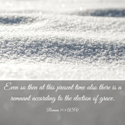 Picture 03 - Romans 11:5 ASV - Even so then at this present time also there is a - Bible Verse Picture