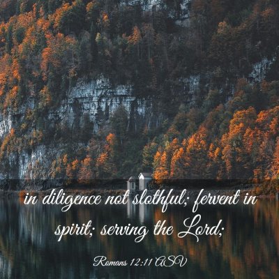 Picture 03 - Romans 12:11 ASV - in diligence not slothful; fervent in spirit; - Bible Verse Picture