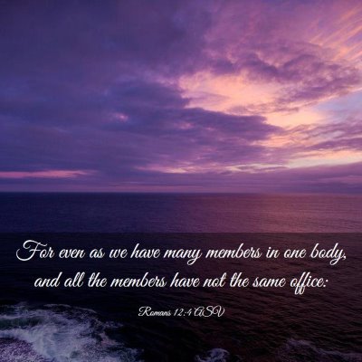Picture 03 - Romans 12:4 ASV - For even as we have many members in one body, and - Bible Verse Picture