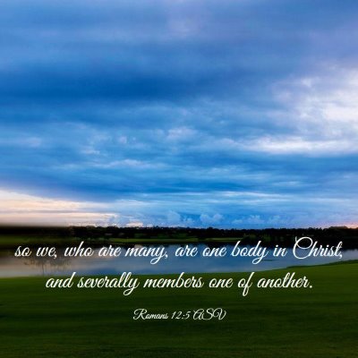 Picture 03 - Romans 12:5 ASV - so we, who are many, are one body in Christ, and - Bible Verse Picture