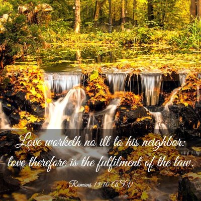 Picture 03 - Romans 13:10 ASV - Love worketh no ill to his neighbor: love - Bible Verse Picture