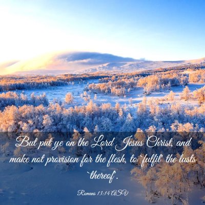 Picture 03 - Romans 13:14 ASV - But put ye on the Lord Jesus Christ, and make not - Bible Verse Picture