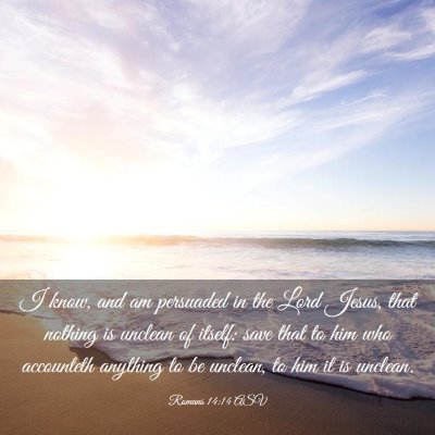 Picture 03 - Romans 14:14 ASV - I know, and am persuaded in the Lord Jesus, that - Bible Verse Picture