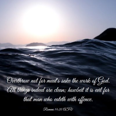 Picture 03 - Romans 14:20 ASV - Overthrow not for meat's sake the work of God. - Bible Verse Picture
