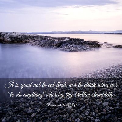 Picture 03 - Romans 14:21 ASV - It is good not to eat flesh, nor to drink wine, - Bible Verse Picture