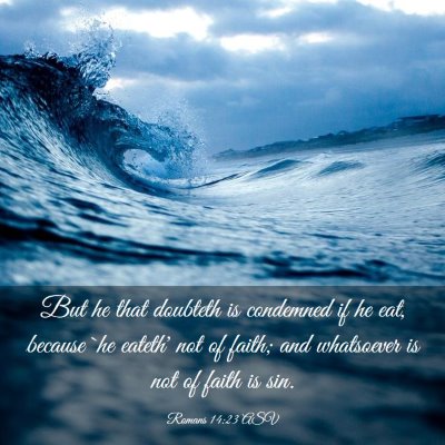 Picture 03 - Romans 14:23 ASV - But he that doubteth is condemned if he eat, - Bible Verse Picture