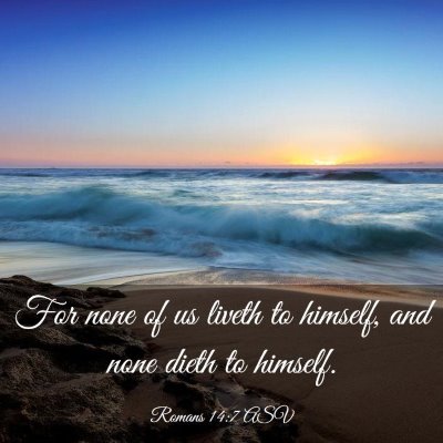 Picture 03 - Romans 14:7 ASV - For none of us liveth to himself, and none dieth - Bible Verse Picture