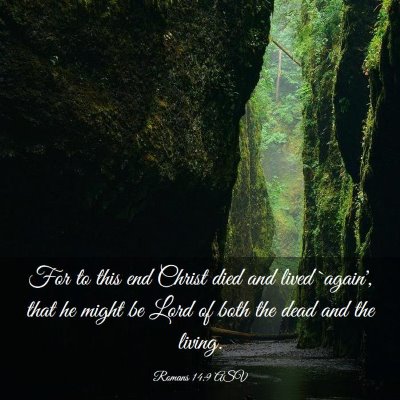 Picture 03 - Romans 14:9 ASV - For to this end Christ died and lived `again', - Bible Verse Picture