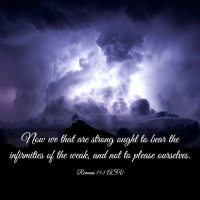 Picture 03 - Romans 15:1 ASV - Now we that are strong ought to bear the - Bible Verse Picture