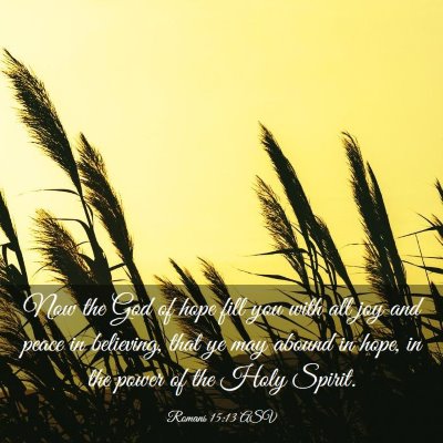 Picture 03 - Romans 15:13 ASV - Now the God of hope fill you with all joy and - Bible Verse Picture